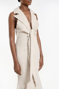 Vel Dress